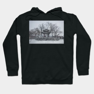 Summer palace in winter Hoodie